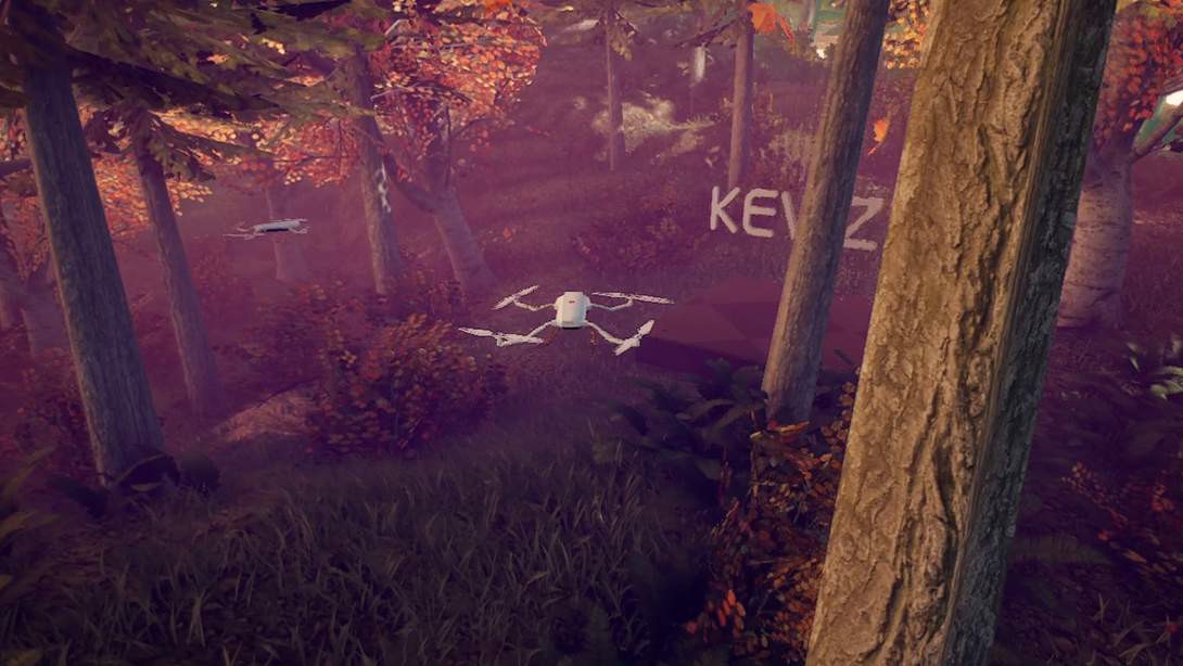 Drone Simulation