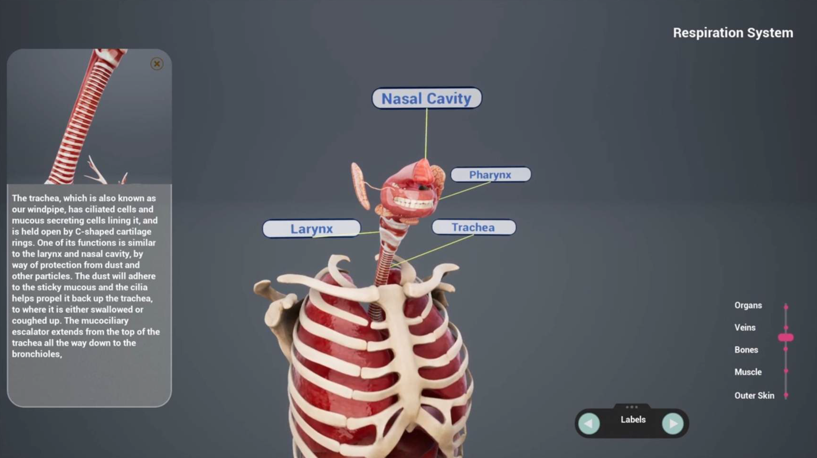 Medical visualization App